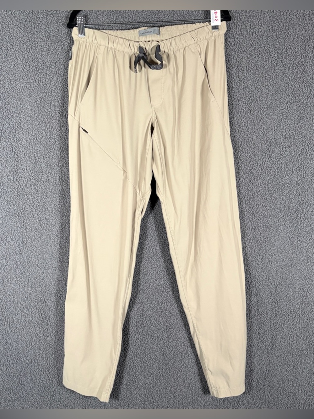 Icebreaker Briar Wool Blend Lightweight Outdoor Hiking Pants - Men's Size M